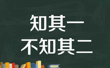 只知其一不知其二类成语总结